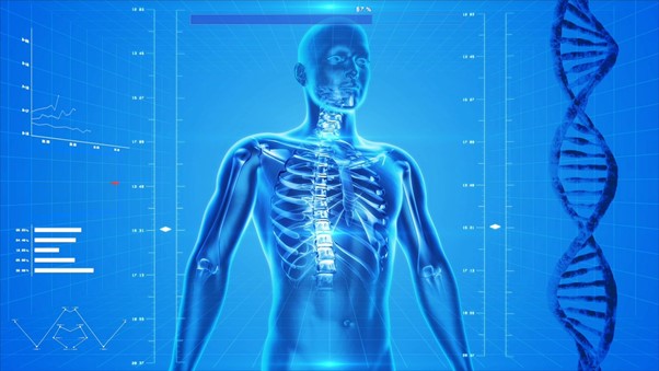 arthritis and the human body