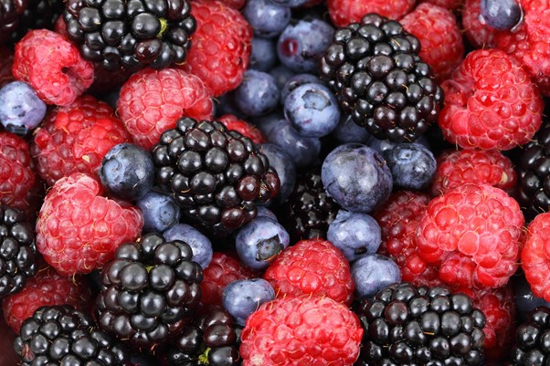 eating fruit helps stop gout